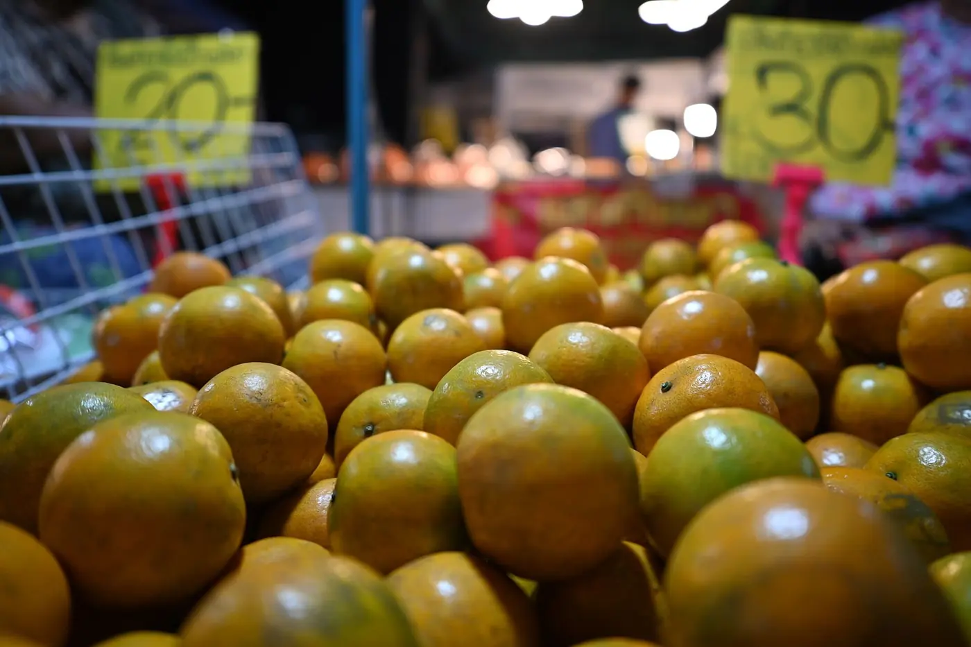 Freshly harvested mandarins stacked for sale